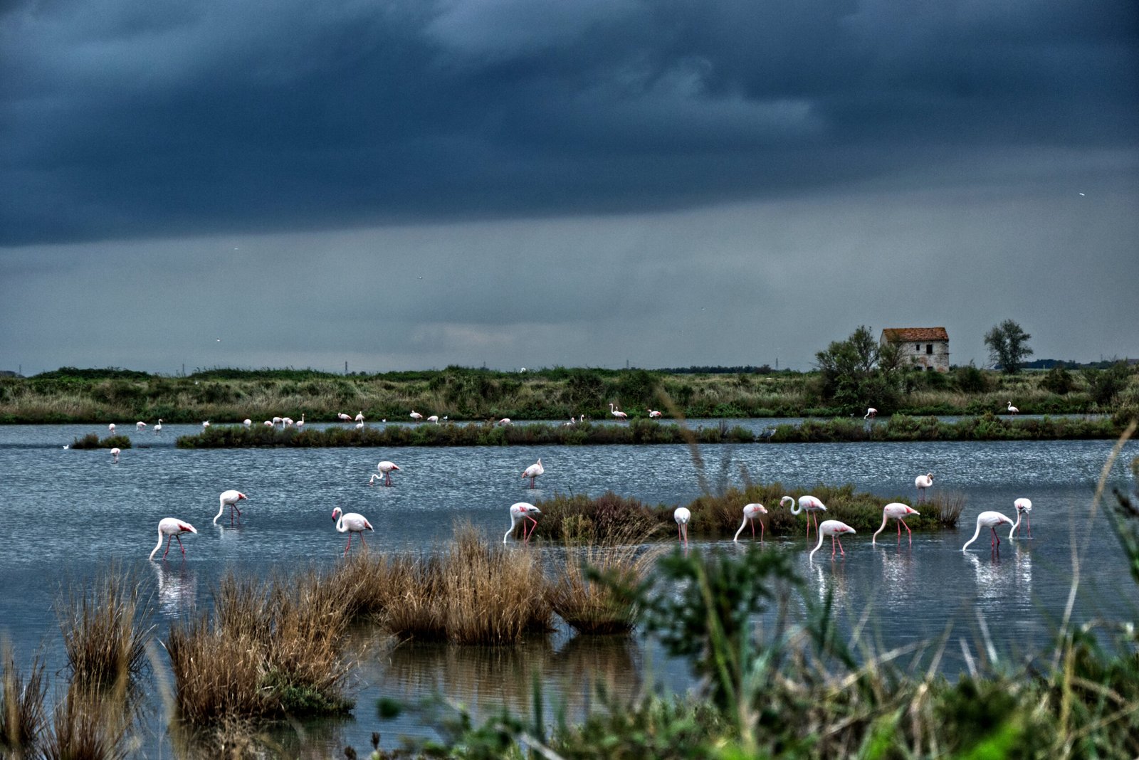 Saline di Comacchio